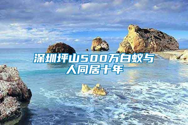 深圳坪山500萬(wàn)白蟻與人同居十年