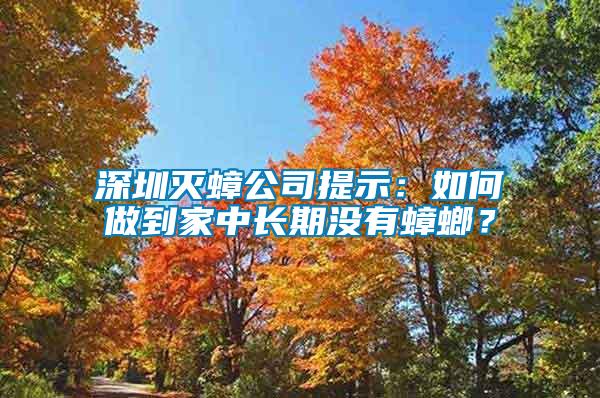 深圳滅蟑公司提示:如何做到家中長期沒有蟑螂?