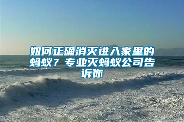 如何正確消滅進入家里的螞蟻?專業(yè)滅螞蟻公司告訴你