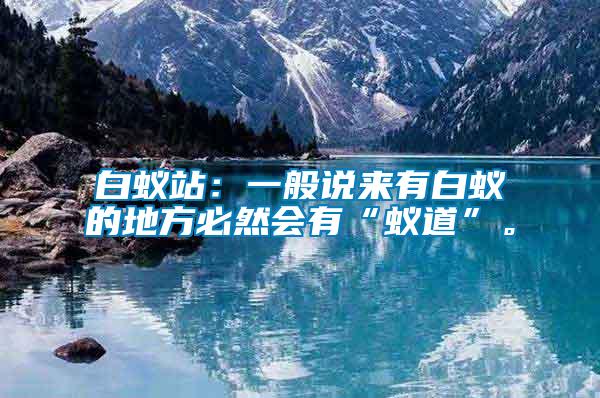 白蟻站:一般說(shuō)來(lái)有白蟻的地方必然會(huì)有“蟻道”。