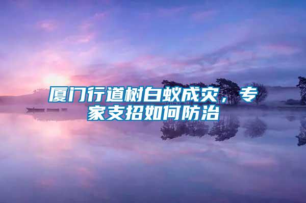 廈門(mén)行道樹(shù)白蟻成災(zāi),專(zhuān)家支招如何防治