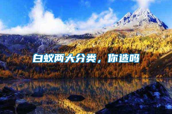 白蟻兩大分類(lèi),你造嗎