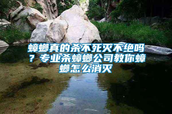 蟑螂真的殺不死滅不絕嗎?專業(yè)殺蟑螂公司教你蟑螂怎么消滅