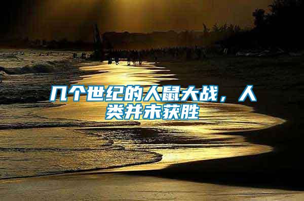 幾個世紀的人鼠大戰,人類并未獲勝