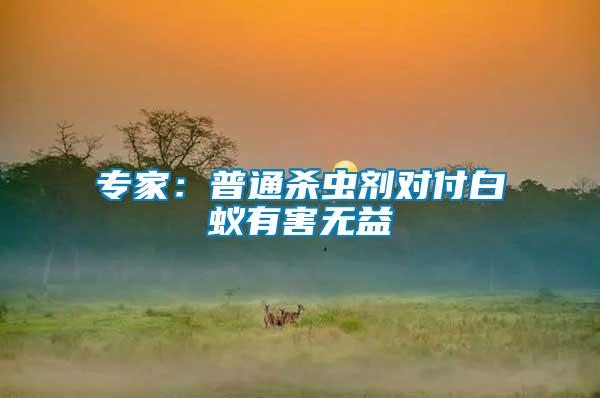 專家:普通殺蟲劑對付白蟻有害無益