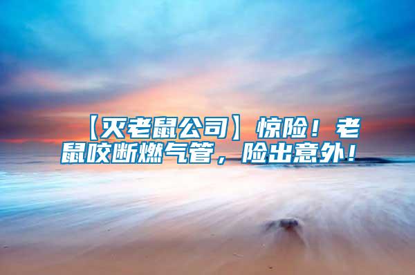 【滅老鼠公司】驚險!老鼠咬斷燃氣管,險出意外!