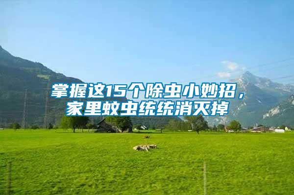 掌握這15個(gè)除蟲小妙招,家里蚊蟲統(tǒng)統(tǒng)消滅掉