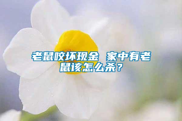 老鼠咬壞現金 家中有老鼠該怎么殺?