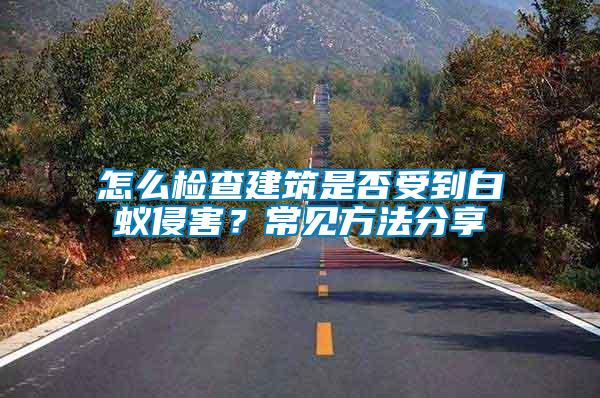 怎么檢查建筑是否受到白蟻侵害?常見方法分享