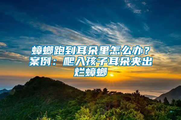 蟑螂跑到耳朵里怎么辦？案例：爬入孩子耳朵夾出爛蟑螂