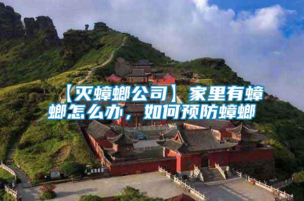 【滅蟑螂公司】家里有蟑螂怎么辦,如何預(yù)防蟑螂