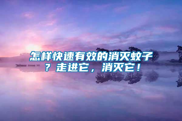 怎樣快速有效的消滅蚊子？走進它，消滅它！