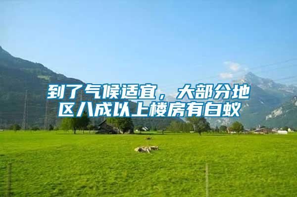 到了氣候適宜，大部分地區八成以上樓房有白蟻