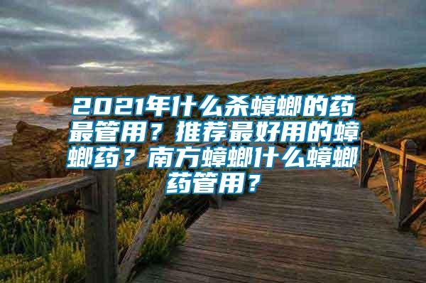 2021年什么殺蟑螂的藥最管用?推薦最好用的蟑螂藥?南方蟑螂什么蟑螂藥管用?