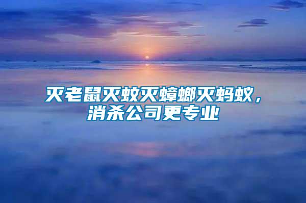滅老鼠滅蚊滅蟑螂滅螞蟻,消殺公司更專業(yè)