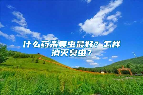 什么藥殺臭蟲最好？怎樣消滅臭蟲？