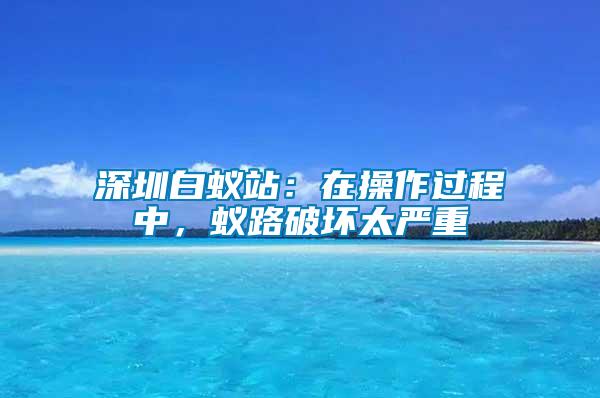 深圳白蟻站：在操作過程中，蟻路破壞太嚴重