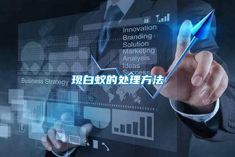 現白蟻的處理方法