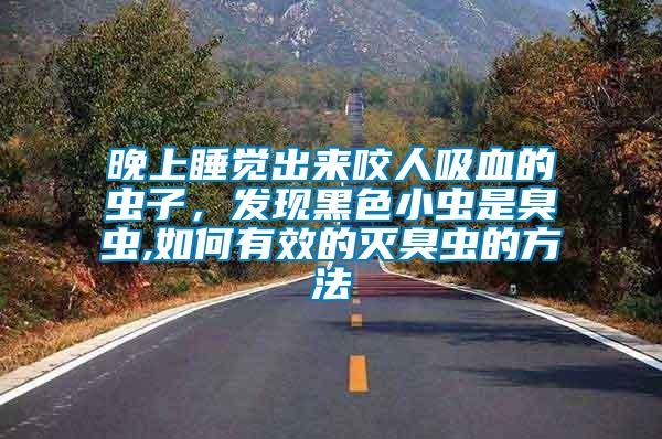 晚上睡覺出來咬人吸血的蟲子，發現黑色小蟲是臭蟲,如何有效的滅臭蟲的方法