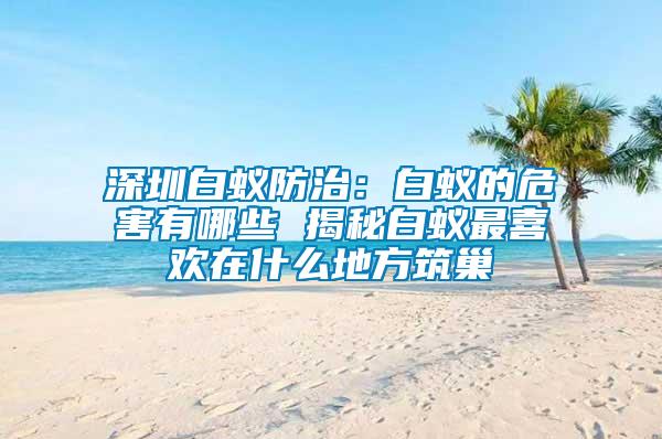 深圳白蟻防治:白蟻的危害有哪些 揭秘白蟻?zhàn)钕矚g在什么地方筑巢