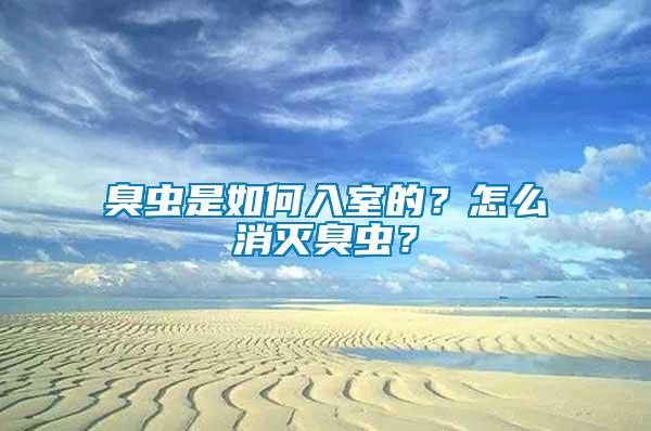 臭蟲是如何入室的?怎么消滅臭蟲?
