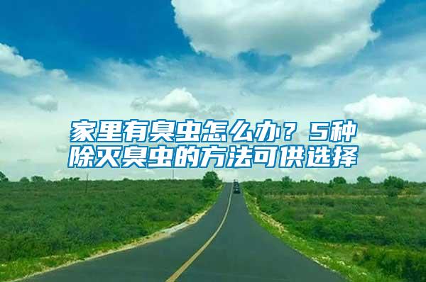 家里有臭蟲怎么辦？5種除滅臭蟲的方法可供選擇