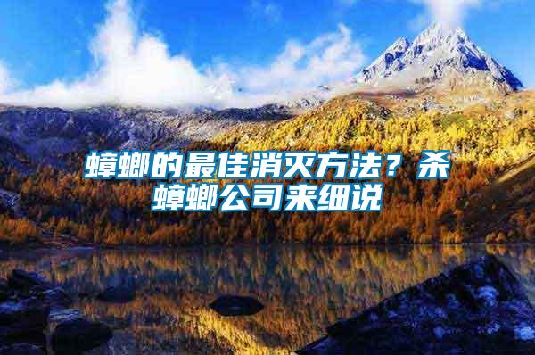 蟑螂的最佳消滅方法？殺蟑螂公司來細說