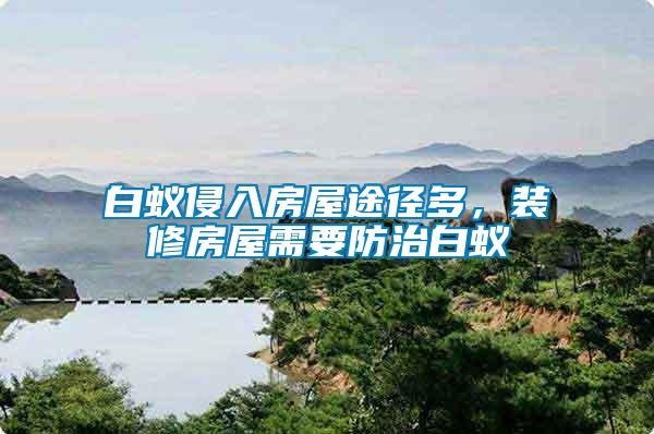 白蟻侵入房屋途徑多,裝修房屋需要防治白蟻