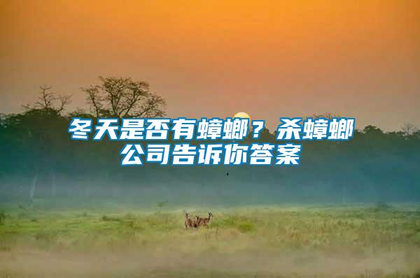 冬天是否有蟑螂?殺蟑螂公司告訴你答案