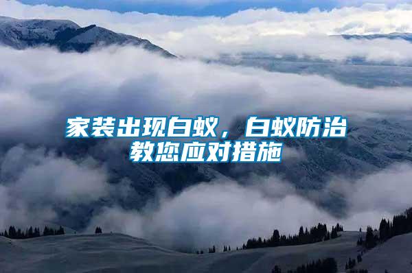 家裝出現白蟻，白蟻防治教您應對措施