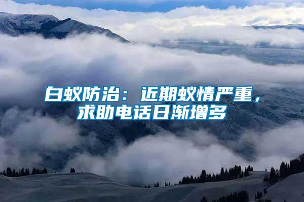 白蟻防治：近期蟻情嚴重，求助電話日漸增多