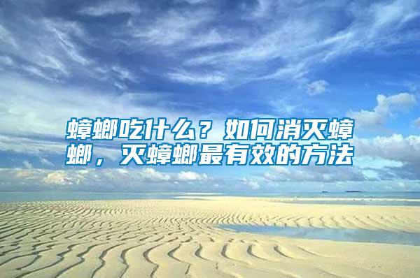 蟑螂吃什么?如何消滅蟑螂,滅蟑螂最有效的方法