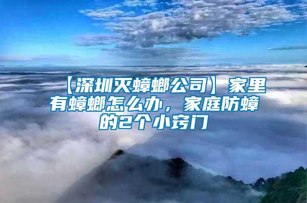 【深圳滅蟑螂公司】家里有蟑螂怎么辦,家庭防蟑的2個(gè)小竅門
