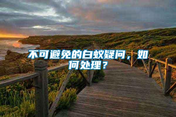 不可避免的白蟻疑問,如何處理?