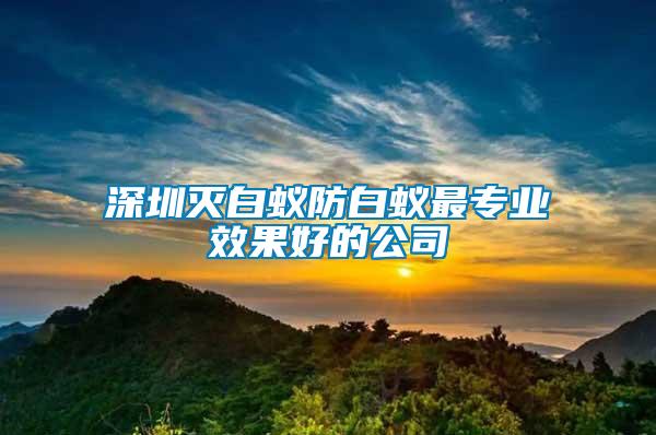 深圳滅白蟻防白蟻?zhàn)顚I(yè)效果好的公司