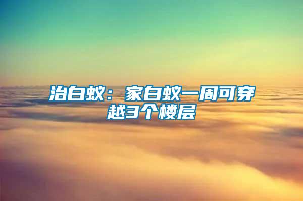 治白蟻:家白蟻一周可穿越3個樓層