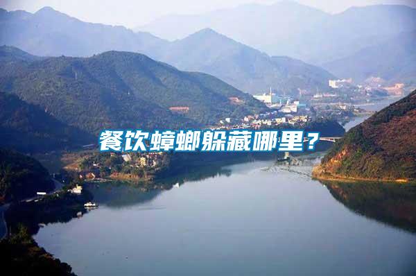 餐飲蟑螂躲藏哪里?