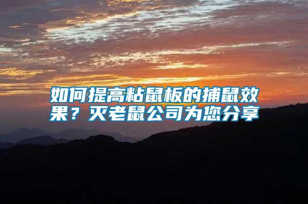 如何提高粘鼠板的捕鼠效果?滅老鼠公司為您分享