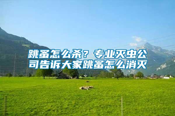 跳蚤怎么殺?專業滅蟲公司告訴大家跳蚤怎么消滅