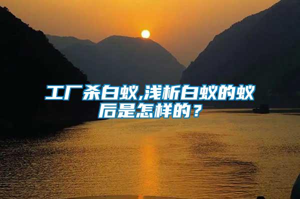 工廠殺白蟻,淺析白蟻的蟻后是怎樣的?