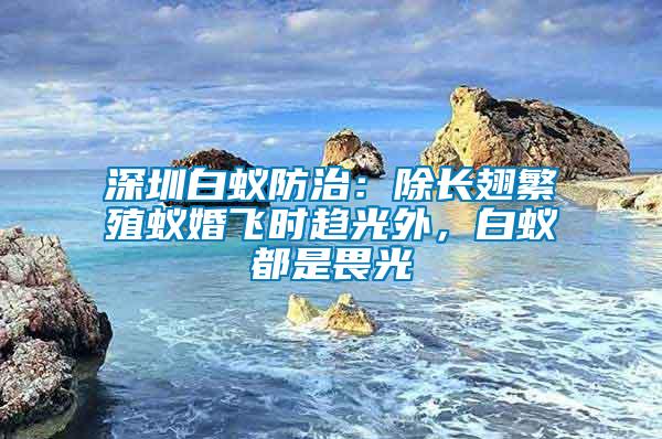 深圳白蟻防治:除長翅繁殖蟻婚飛時趨光外,白蟻都是畏光