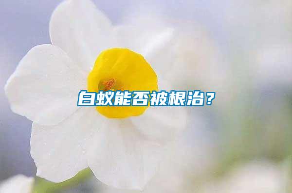 白蟻能否被根治？