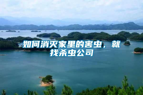 如何消滅家里的害蟲，就找殺蟲公司