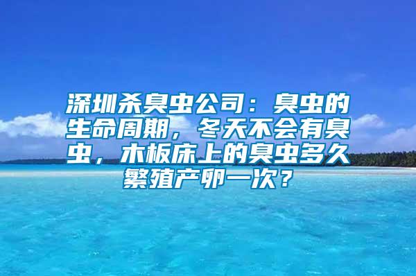 深圳殺臭蟲公司:臭蟲的生命周期,冬天不會有臭蟲,木板床上的臭蟲多久繁殖產卵一次?