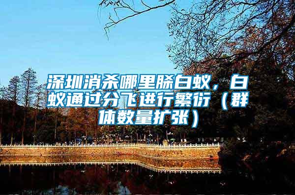 深圳消殺哪里脎白蟻,白蟻通過分飛進行繁衍(群體數量擴張)