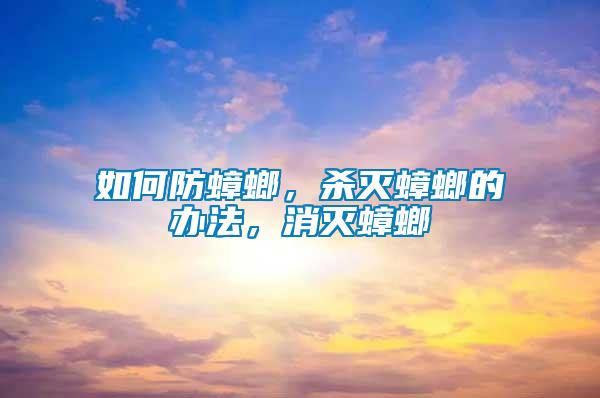 如何防蟑螂,殺滅蟑螂的辦法,消滅蟑螂