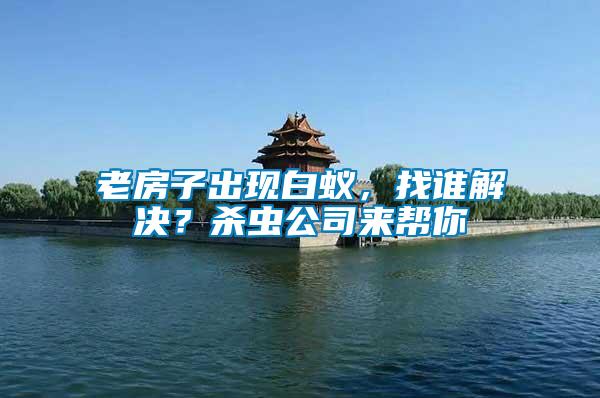 老房子出現白蟻,找誰解決?殺蟲公司來幫你