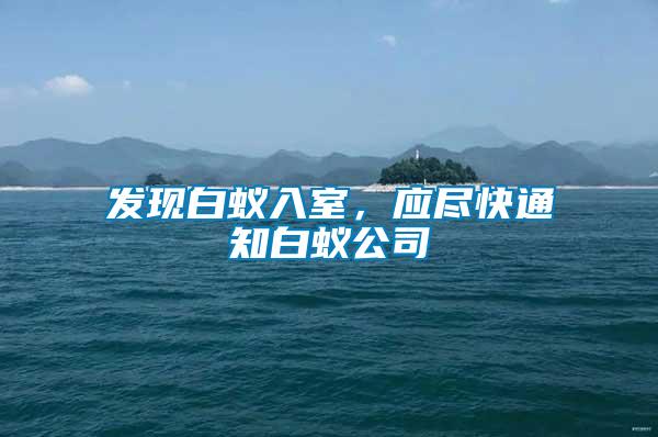 發現白蟻入室,應盡快通知白蟻公司