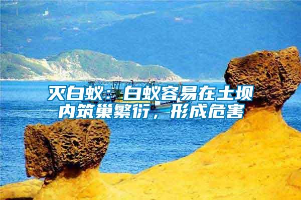 滅白蟻:白蟻容易在土壩內(nèi)筑巢繁衍,形成危害