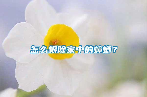 怎么根除家中的蟑螂?